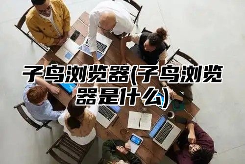 子鸟浏览器(子鸟浏览器是什么)