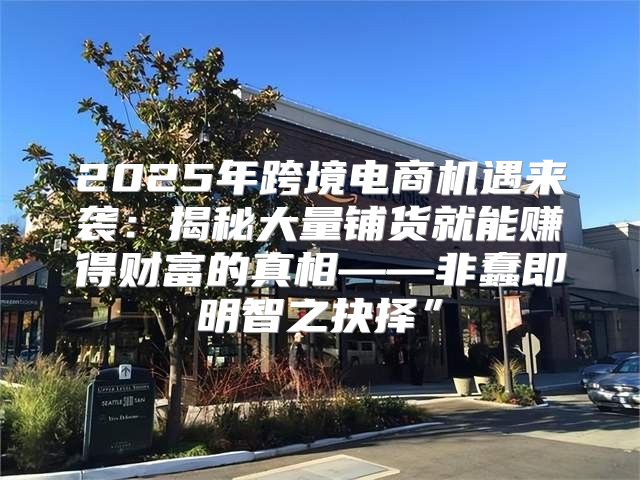 2025年跨境电商机遇来袭：揭秘大量铺货就能赚得财富的真相——非蠢即明智之抉择”