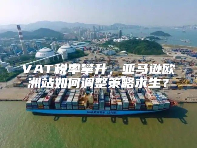 VAT税率攀升，亚马逊欧洲站如何调整策略求生？