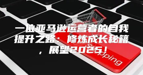 一位亚马逊运营者的自我提升之路：修炼成长秘籍，展望2025！