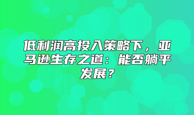 低利润高投入策略下，亚马逊生存之道：能否躺平发展？