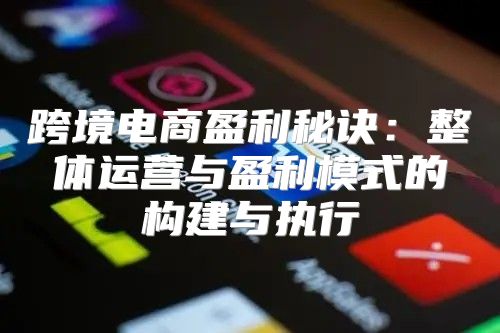 跨境电商盈利秘诀：整体运营与盈利模式的构建与执行