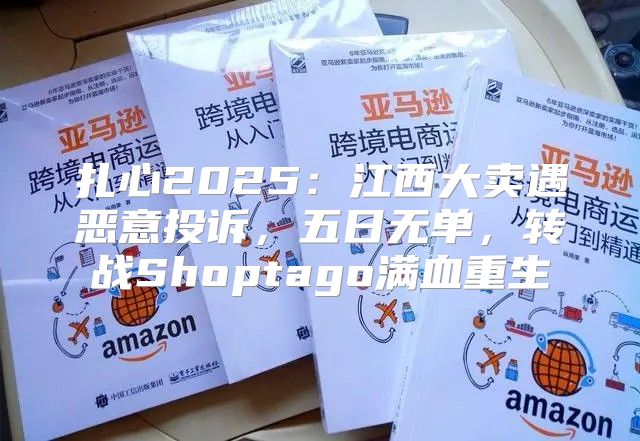 扎心2025江西大卖遇恶意投诉，五日无单，转战Shoptago满血重生