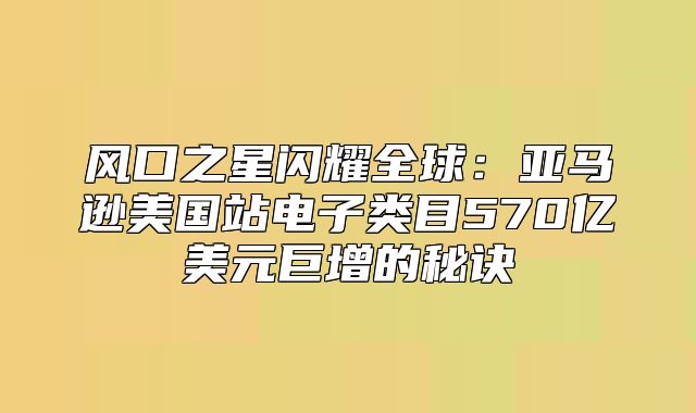 风口之星闪耀全球：亚马逊美国站电子类目570亿美元巨增的秘诀