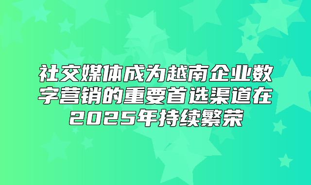 社交媒体成为越南企业数字营销的重要首选渠道在2025年持续繁荣