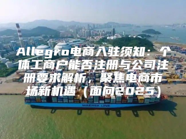 Allegro电商入驻须知：个体工商户能否注册与公司注册要求解析，聚焦电商市场新机遇面向2025