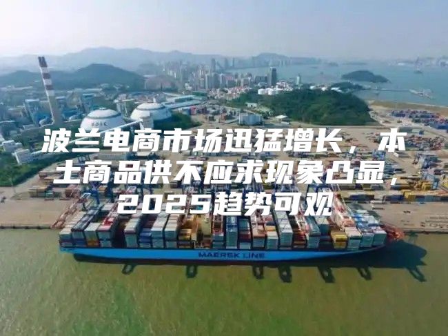 波兰电商市场迅猛增长，本土商品供不应求现象凸显，2025趋势可观