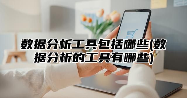 数据分析工具包括哪些(数据分析的工具有哪些)