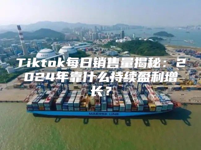 Tiktok每日销售量揭秘：2025年靠什么持续盈利增长？
