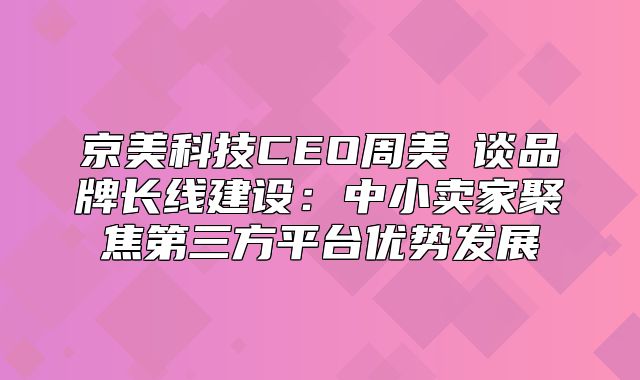 京美科技CEO周美伋谈品牌长线建设：中小卖家聚焦第三方平台优势发展