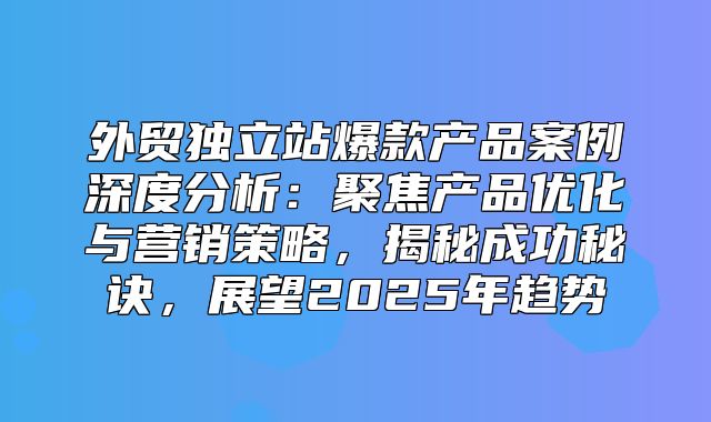 外贸独立站爆款产品案例深度分析：聚焦产品优化与营销策略，揭秘成功秘诀，展望2025年趋势