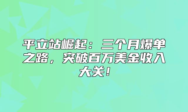 平立站崛起：三个月爆单之路，突破百万美金收入大关！