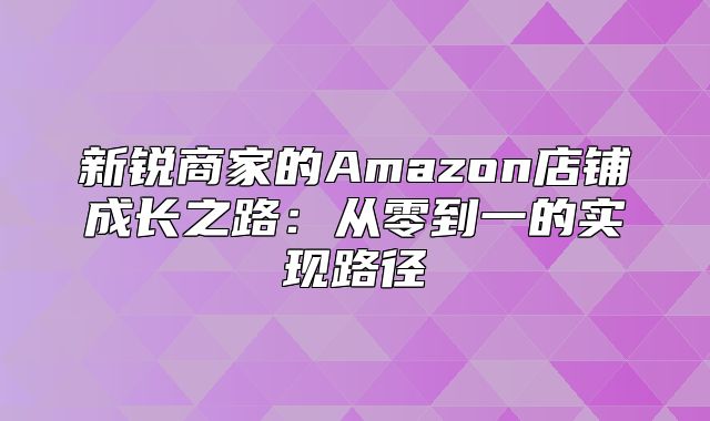 新锐商家的Amazon店铺成长之路：从零到一的实现路径