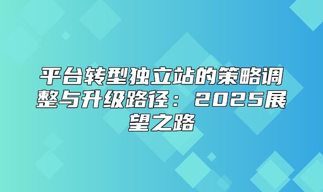 平台转型独立站的策略调整与升级路径：2025展望之路