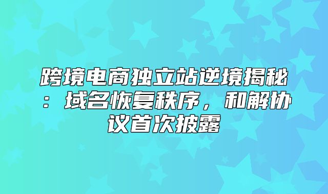 跨境电商独立站逆境揭秘：域名恢复秩序，和解协议首次披露