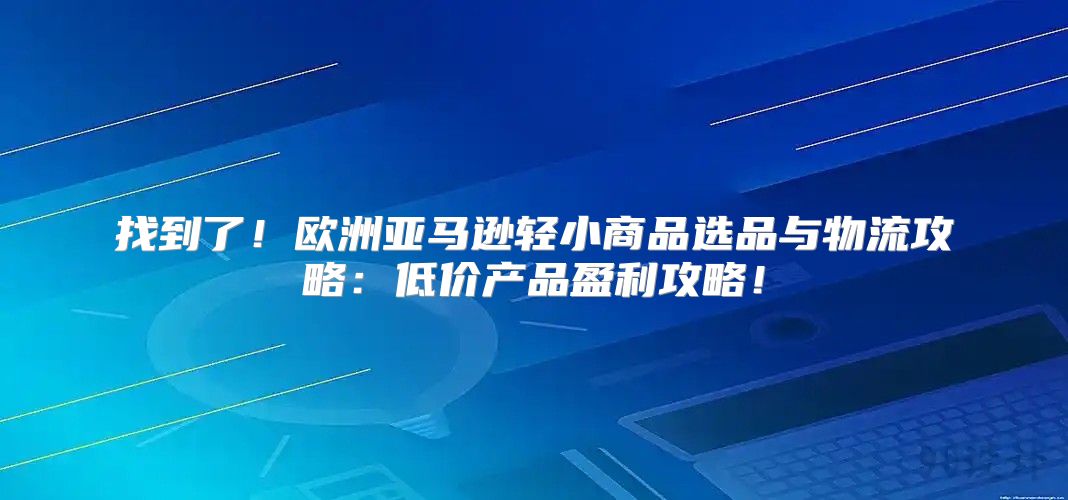 找到了！欧洲亚马逊轻小商品选品与物流攻略：低价产品盈利攻略！