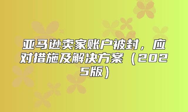亚马逊卖家账户被封，应对措施及解决方案2025版