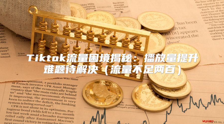 Tiktok流量困境揭秘：播放量提升难题待解决流量不足两百