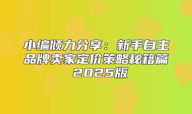 小编倾力分享：新手自主品牌卖家定价策略秘籍篇 2025版