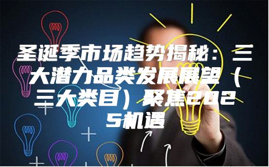 圣诞季市场趋势揭秘：三大潜力品类发展展望三大类目聚焦2025机遇