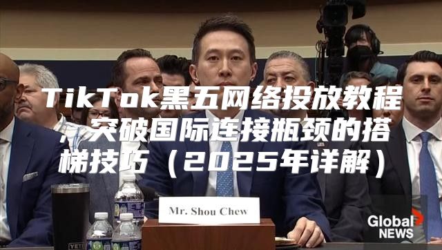 TikTok黑五网络投放教程，突破国际连接瓶颈的搭梯技巧2025年详解