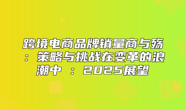 跨境电商品牌销量商与殇：策略与挑战在变革的浪潮中①：2025展望