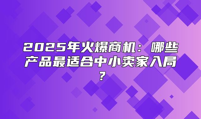 2025年火爆商机：哪些产品最适合中小卖家入局？