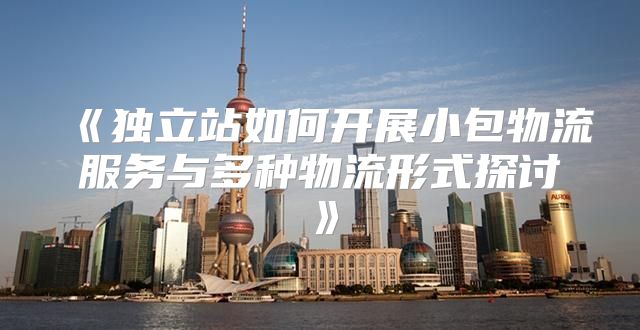 独立站如何开展小包物流服务与多种物流形式探讨