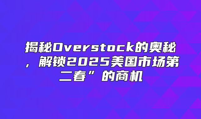 揭秘Overstock的奥秘，解锁2025美国市场第二春”的商机