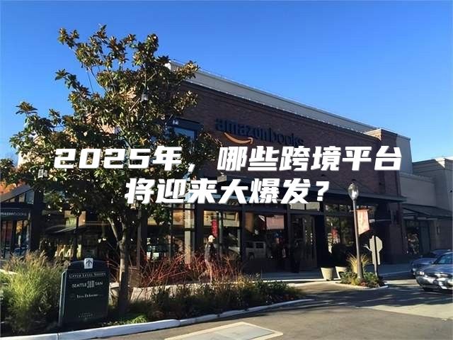 2025年，哪些跨境平台将迎来大爆发？