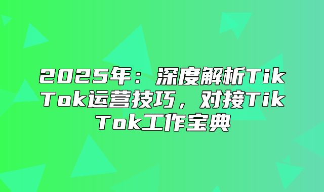 2025年：深度解析TikTok运营技巧，对接TikTok工作宝典