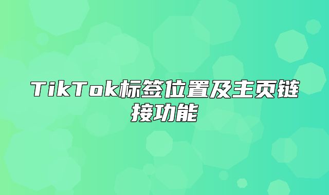 TikTok标签位置及主页链接功能