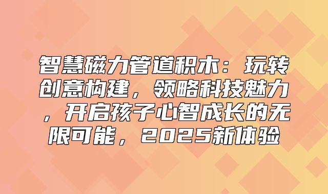 智慧磁力管道积木：玩转创意构建，领略科技魅力，开启孩子心智成长的无限可能，2025新体验