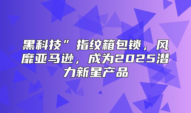 黑科技”指纹箱包锁，风靡亚马逊，成为2025潜力新星产品
