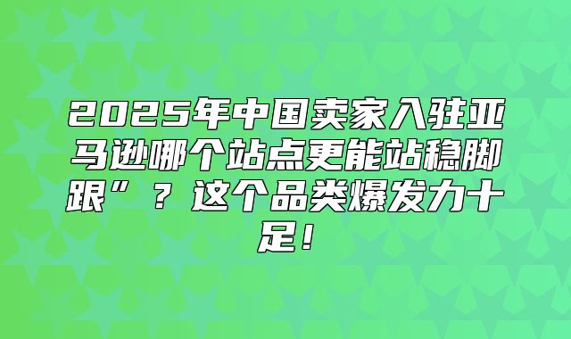 2025年中国卖家入驻亚马逊哪个站点更能站稳脚跟”？这个品类爆发力十足！