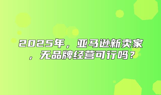 2025年，亚马逊新卖家，无品牌经营可行吗？