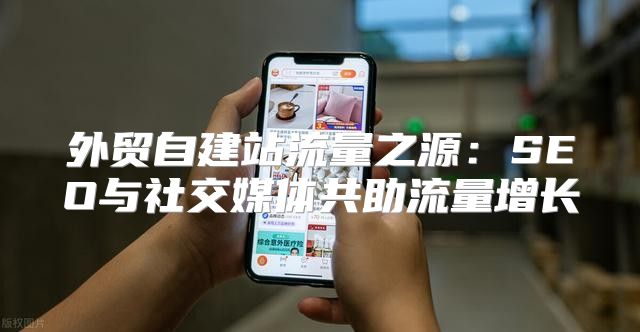外贸自建站流量之源：SEO与社交媒体共助流量增长