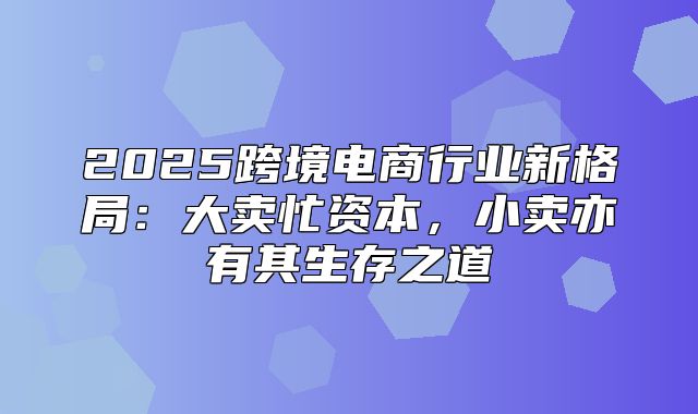 2025跨境电商行业新格局：大卖忙资本，小卖亦有其生存之道