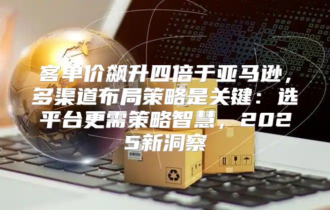 客单价飙升四倍于亚马逊，多渠道布局策略是关键：选平台更需策略智慧，2025新洞察