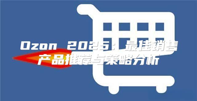 Ozon 2025最佳销售产品推荐与策略分析