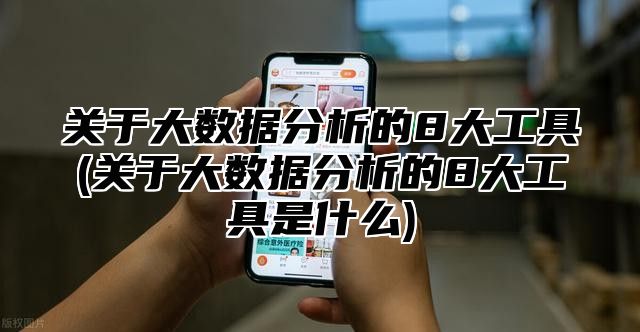 关于大数据分析的8大工具(关于大数据分析的8大工具是什么)