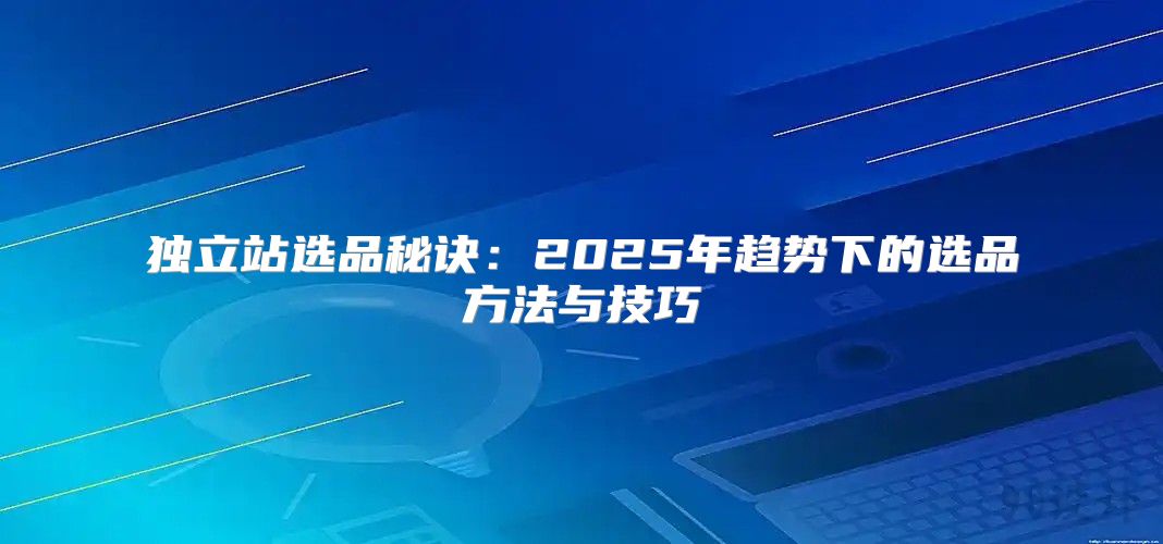 独立站选品秘诀：2025年趋势下的选品方法与技巧
