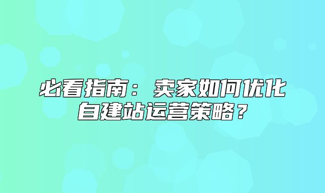 必看指南：卖家如何优化自建站运营策略？