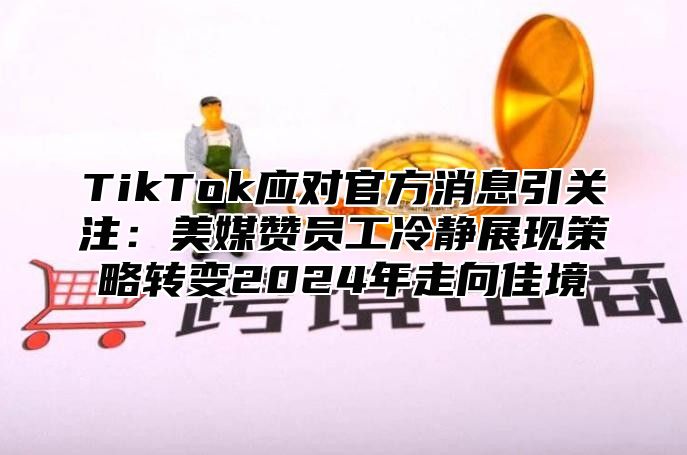 TikTok应对官方消息引关注：美媒赞员工冷静展现策略转变2025年走向佳境
