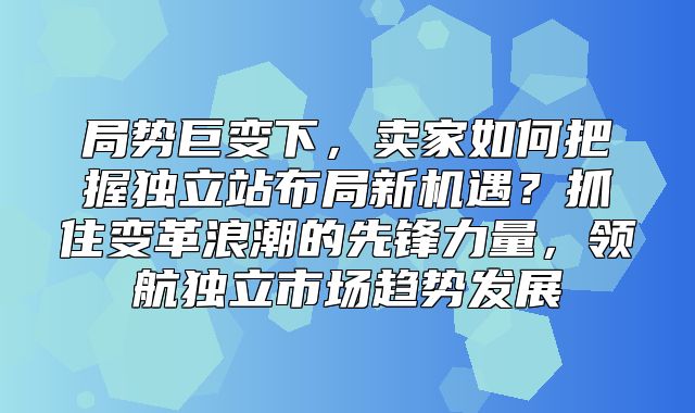 局势巨变下，卖家如何把握独立站布局新机遇？抓住变革浪潮的先锋力量，领航独立市场趋势发展