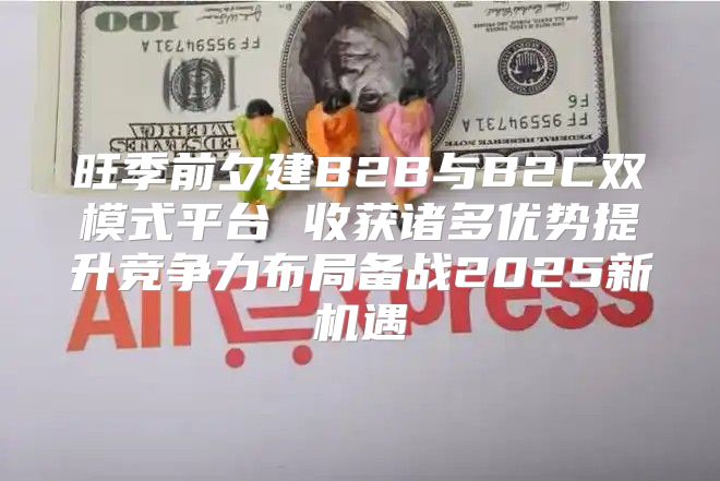 旺季前夕建B2B与B2C双模式平台 收获诸多优势提升竞争力布局备战2025新机遇
