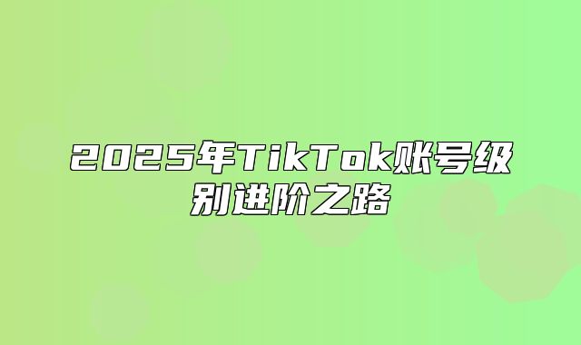 2025年TikTok账号级别进阶之路