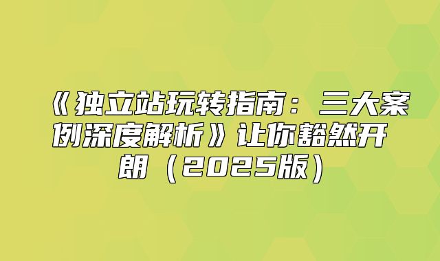 独立站玩转指南：三大案例深度解析让你豁然开朗2025版