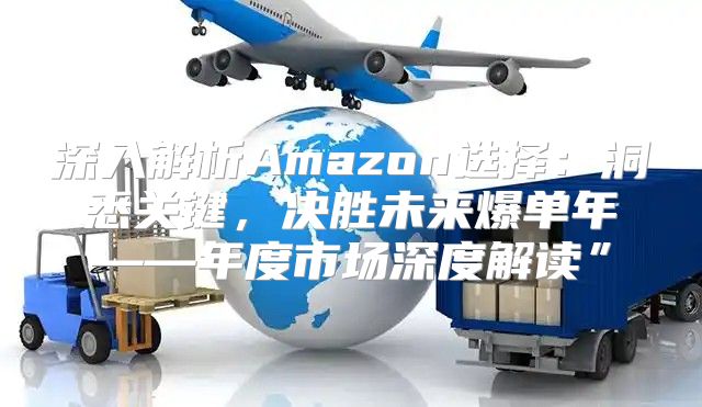 深入解析Amazon选择：洞悉关键，决胜未来爆单年——年度市场深度解读”
