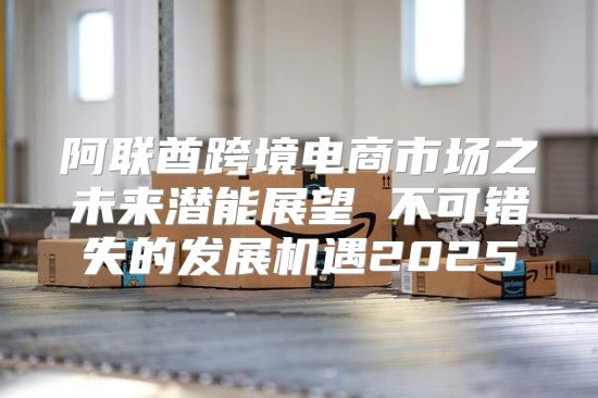 阿联酋跨境电商市场之未来潜能展望 不可错失的发展机遇2025